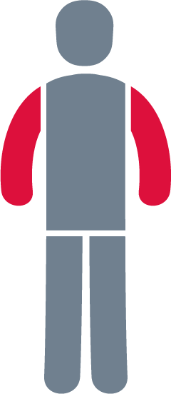 arms